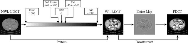Figure 1 for Window-Level is a Strong Denoising Surrogate