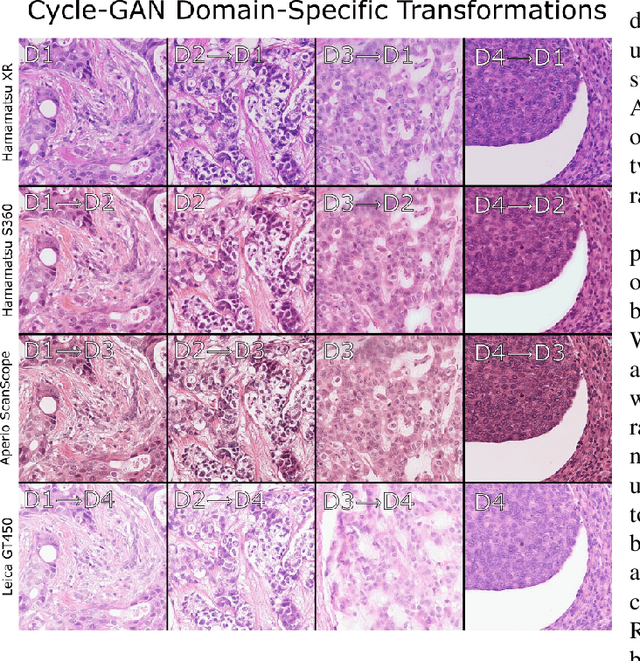 Figure 1 for Robust Mitosis Detection Using a Cascade Mask-RCNN Approach With Domain-Specific Residual Cycle-GAN Data Augmentation
