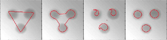 Figure 2 for The Stability of Convergence of Curve Evolutions in Vector Fields