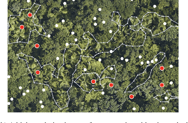 Figure 1 for Artificial Perceptual Learning: Image Categorization with Weak Supervision