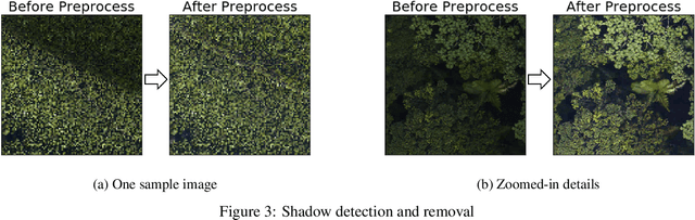 Figure 3 for Artificial Perceptual Learning: Image Categorization with Weak Supervision