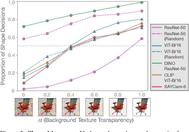 Figure 3 for A Developmentally-Inspired Examination of Shape versus Texture Bias in Machines