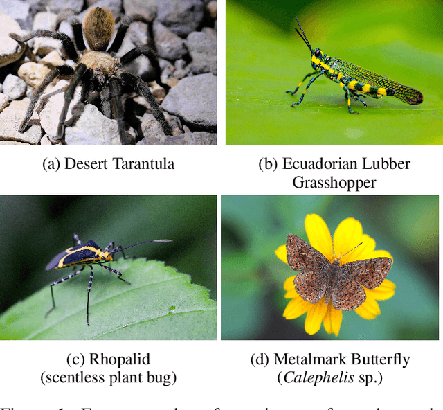 Figure 1 for The Role of Domain Expertise in User Trust and the Impact of First Impressions with Intelligent Systems
