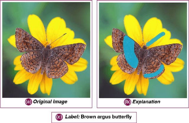 Figure 3 for The Role of Domain Expertise in User Trust and the Impact of First Impressions with Intelligent Systems