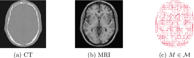 Figure 1 for Nonparametric posterior learning for emission tomography with multimodal data