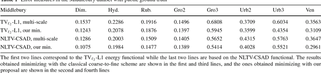 Figure 2 for FALDOI: A new minimization strategy for large displacement variational optical flow