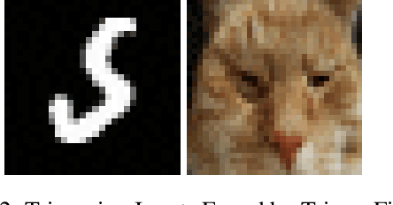 Figure 4 for Fast Test Input Generation for Finding Deviated Behaviors in Compressed Deep Neural Network