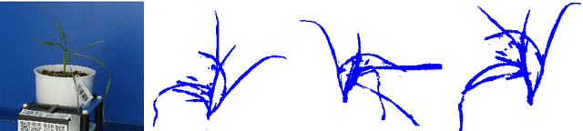 Figure 3 for A model-based approach to recovering the structure of a plant from images