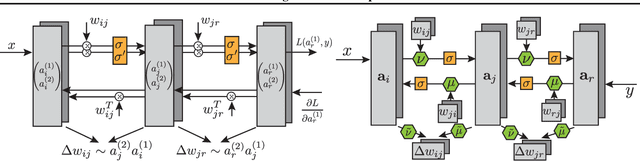 Figure 1 for Meta-Learning Bidirectional Update Rules