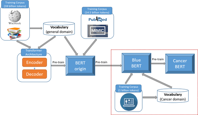 Figure 3 for CancerBERT: a BERT model for Extracting Breast Cancer Phenotypes from Electronic Health Records