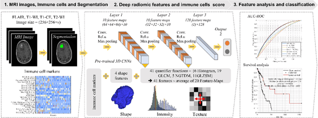 Figure 1 for Deep radiomic signature with immune cell markers predicts the survival of glioma patients