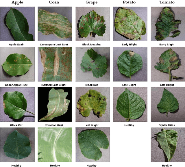 Figure 2 for A Multi-Plant Disease Diagnosis Method using Convolutional Neural Network