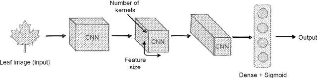 Figure 3 for A Multi-Plant Disease Diagnosis Method using Convolutional Neural Network
