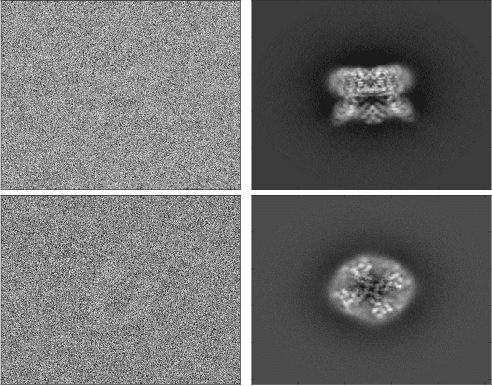 Figure 2 for Hyper-Molecules: on the Representation and Recovery of Dynamical Structures, with Application to Flexible Macro-Molecular Structures in Cryo-EM