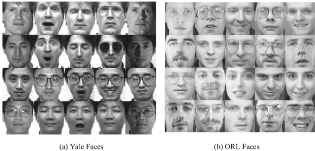 Figure 3 for Auto-weighted Mutli-view Sparse Reconstructive Embedding