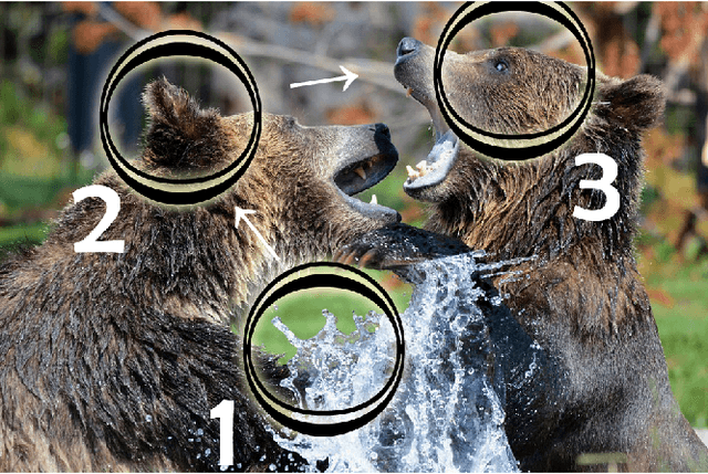 Figure 1 for Comparison of Neuronal Attention Models
