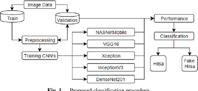 Figure 1 for Fake Hilsa Fish Detection Using Machine Vision