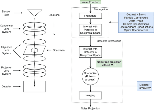 Figure 4 for Differentiable Electron Microscopy Simulation: Methods and Applications for Visualization