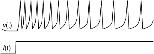 Figure 3 for Crossing the Reality Gap with Evolved Plastic Neurocontrollers
