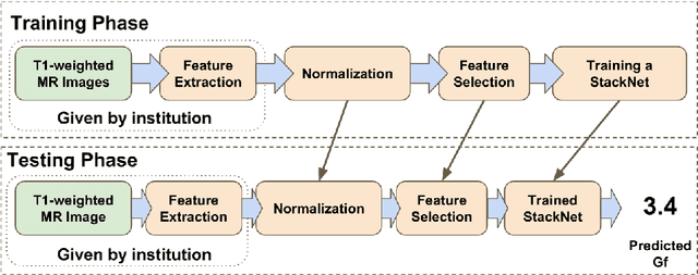 Figure 3 for Predicting Fluid Intelligence of Children using T1-weighted MR Images and a StackNet