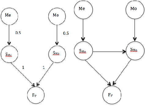 Figure 1 for Fuzzy Stochastic Timed Petri Nets for Causal properties representation