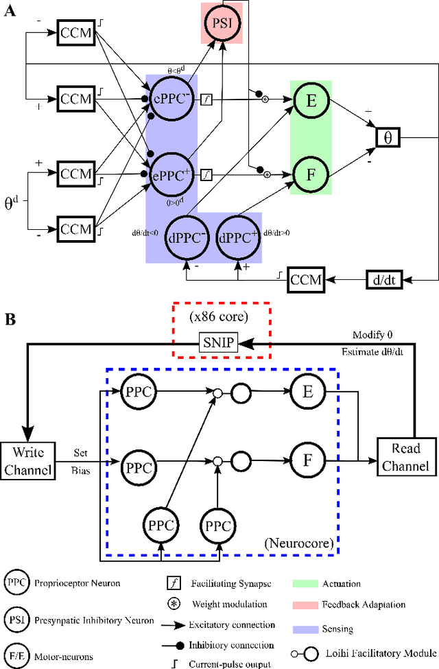 Figure 2 for Bioinspired Smooth Neuromorphic Control for Robotic Arms