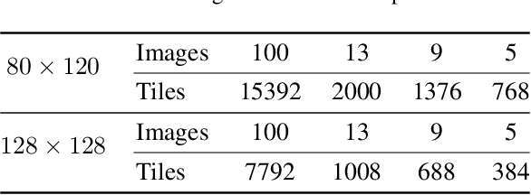 Figure 2 for Semantic Segmentation of Seismic Images