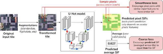 Figure 3 for Monitoring Vegetation From Space at Extremely Fine Resolutions via Coarsely-Supervised Smooth U-Net