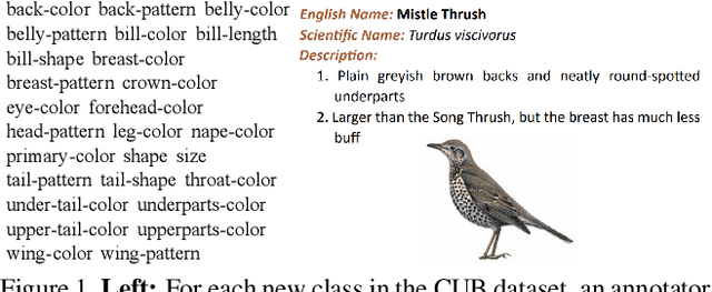 Figure 1 for Field-Guide-Inspired Zero-Shot Learning