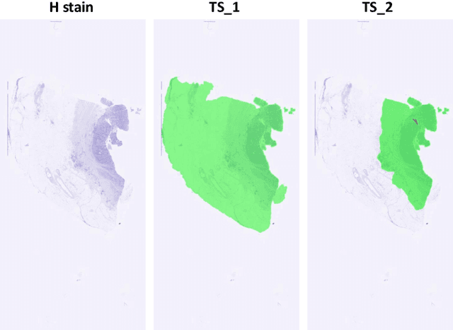 Figure 3 for Deep Feature based Cross-slide Registration