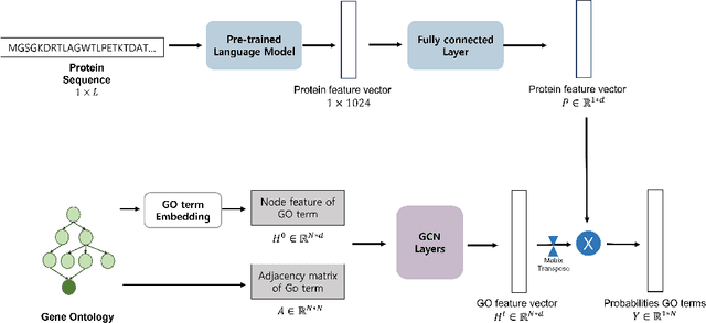 Figure 1 for An Effective GCN-based Hierarchical Multi-label classification for Protein Function Prediction