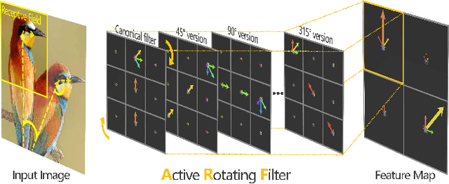 Figure 1 for Oriented Response Networks