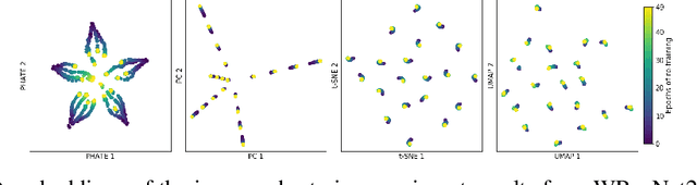 Figure 1 for Visualizing High-Dimensional Trajectories on the Loss-Landscape of ANNs