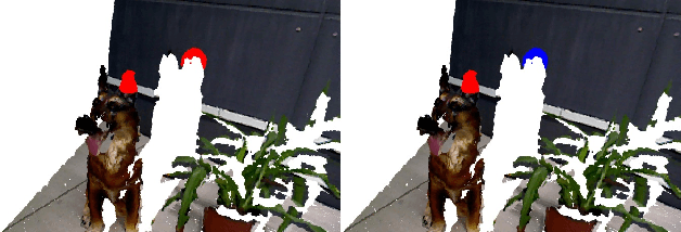 Figure 4 for RISAS: A Novel Rotation, Illumination, Scale Invariant Appearance and Shape Feature