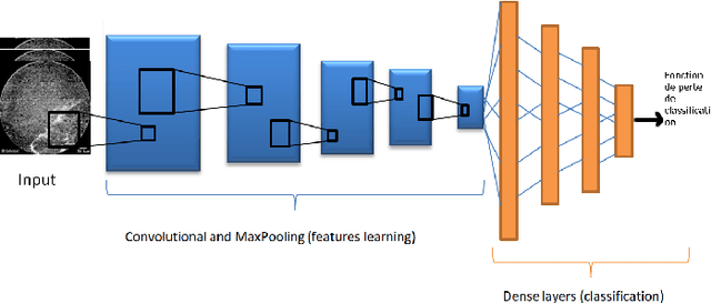 Figure 3 for Deep learning using Havrda-Charvat entropy for classification of pulmonary endomicroscopy
