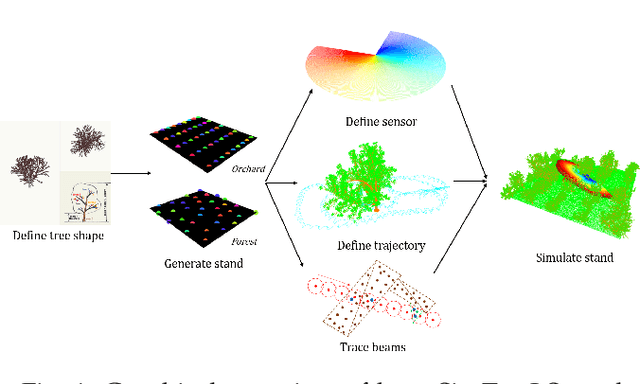 Figure 1 for SimTreeLS: Simulating aerial and terrestrial laser scans of trees