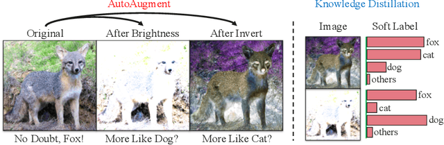 Figure 1 for Circumventing Outliers of AutoAugment with Knowledge Distillation