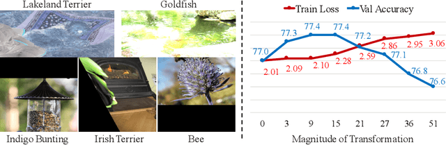 Figure 3 for Circumventing Outliers of AutoAugment with Knowledge Distillation
