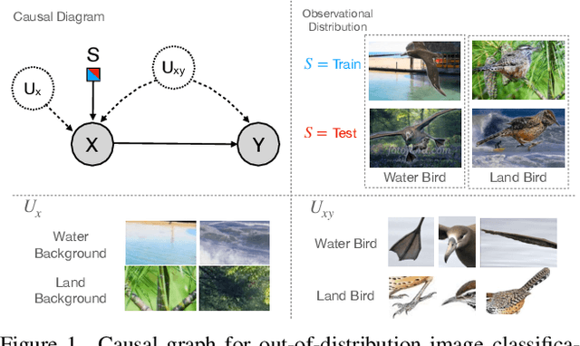 Figure 1 for Causal Transportability for Visual Recognition