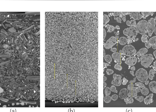 Figure 1 for Segmenting root systems in X-ray computed tomography images using level sets