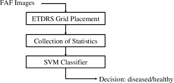 Figure 3 for Efficient Screening of Diseased Eyes based on Fundus Autofluorescence Images using Support Vector Machine