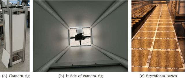 Figure 2 for A Public Image Database for Benchmark of Plant Seedling Classification Algorithms