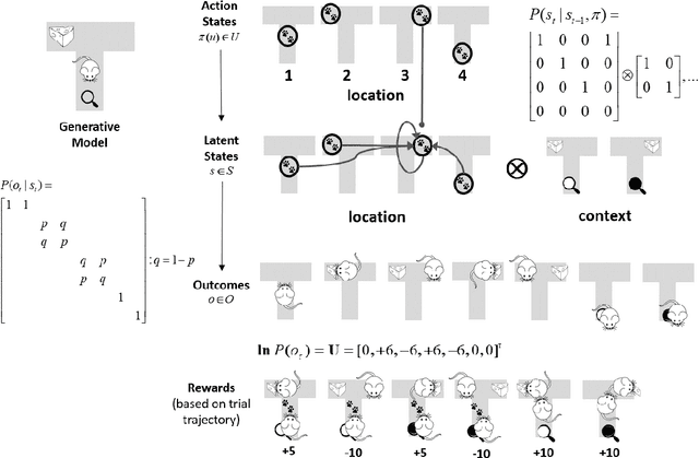 Figure 1 for Active inference, Bayesian optimal design, and expected utility