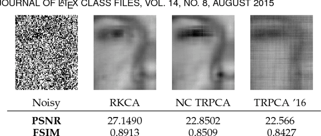 Figure 4 for Robust Kronecker Component Analysis
