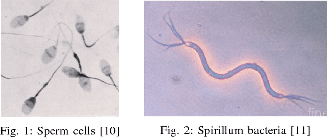Figure 1 for Locomotion of the generalized Purcell's swimmer : Modelling, controllability and motion primitives
