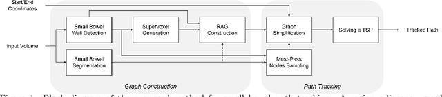 Figure 1 for A Graph-theoretic Algorithm for Small Bowel Path Tracking in CT Scans