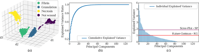 Figure 1 for A superpixel-driven deep learning approach for the analysis of dermatological wounds