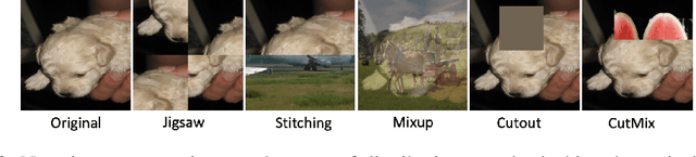 Figure 3 for Negative Data Augmentation