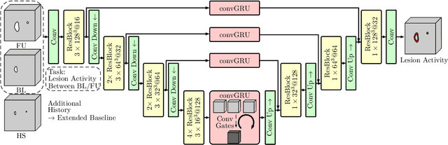 Figure 1 for 4D Deep Learning for Multiple Sclerosis Lesion Activity Segmentation