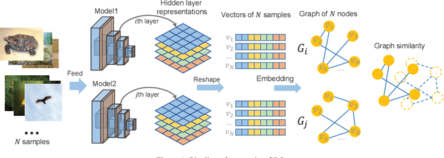 Figure 1 for Graph-Based Similarity of Neural Network Representations